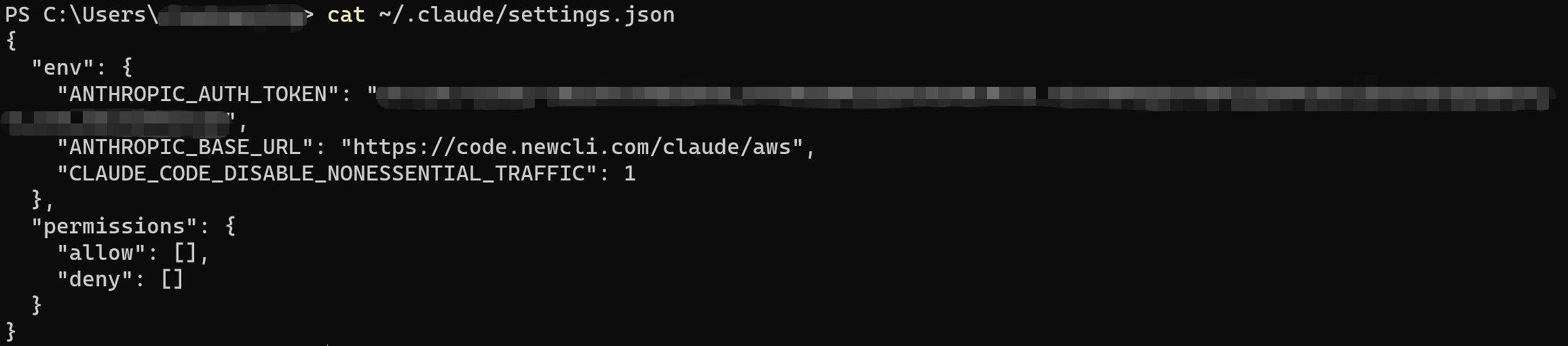 确认 settings.json 内容